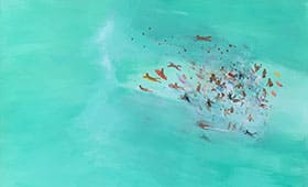 Freshwater-Mixed-Media Freshwater-Mixed-Media